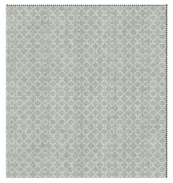 LEMMA-683-ROMAN BLIND