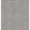 LEMMA-666-ROMAN BLIND