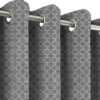 LEMMA-665-CURTAIN