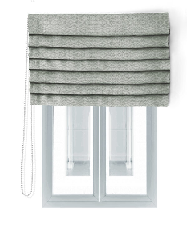 LEMMA-681-ROMAN BLIND