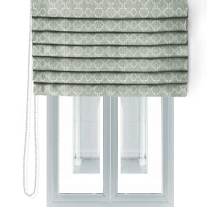 LEMMA-683-ROMAN BLIND