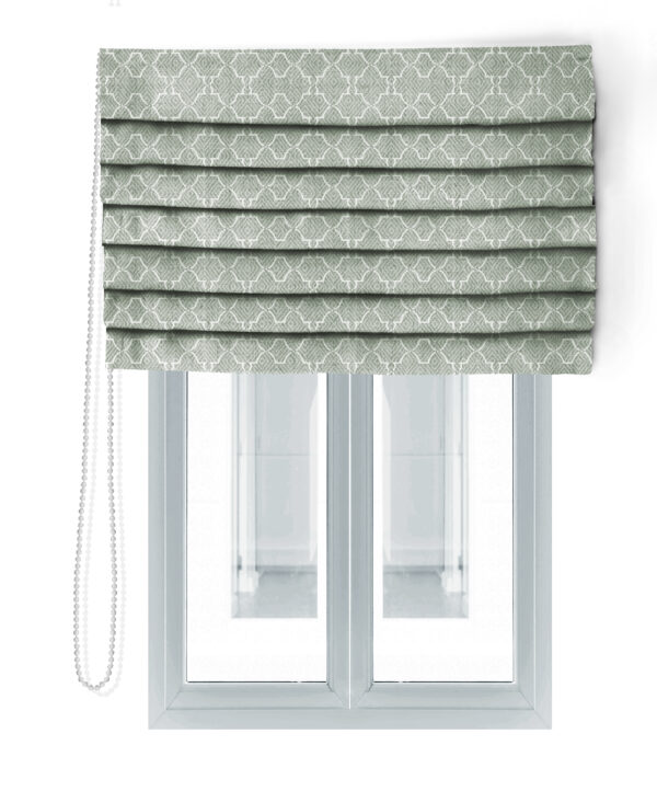 LEMMA-683-ROMAN BLIND