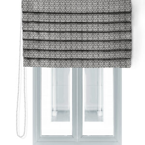LEMMA-666-ROMAN BLIND